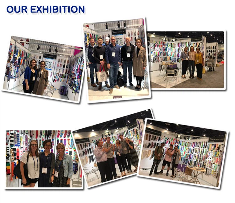 exhibition.webp